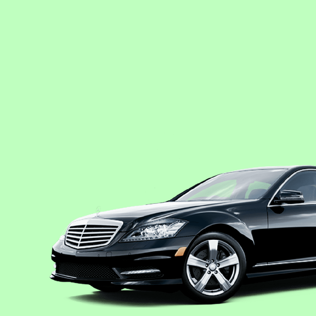 1 Year Personal Driver Visa