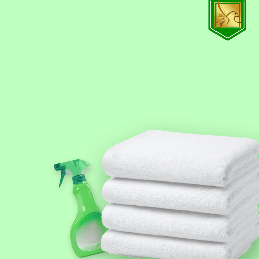 Visa de domestique personel(le) de 2 ans  (pour les titulaires du Golden Visa)